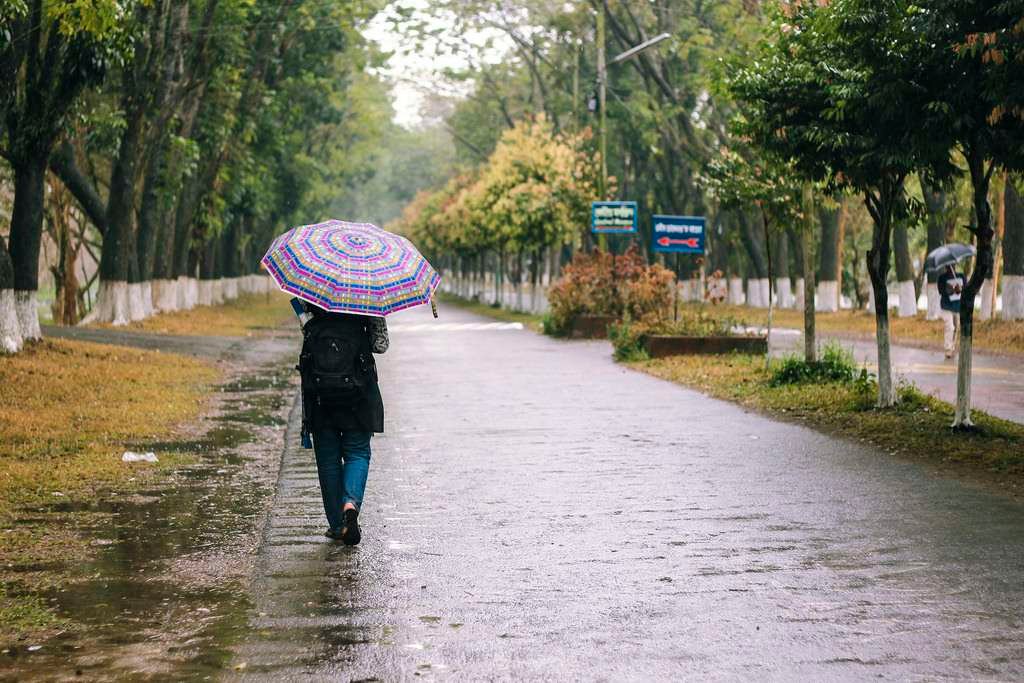 বৃষ্টি সম্পর্কে ২০টি চমকপ্রদ তথ্য